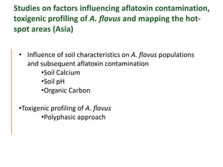 Agriculture for Nutrition and Health (A4NH) - Aflatoxin - ICRISAT activities