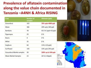 Agriculture for Nutrition and Health (A4NH) - Aflatoxin - ICRISAT activities