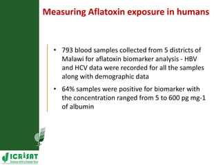 Agriculture for Nutrition and Health (A4NH) - Aflatoxin - ICRISAT activities
