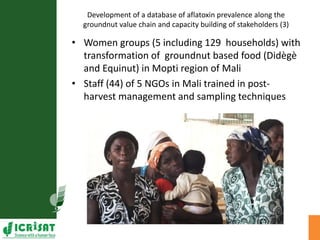 Agriculture for Nutrition and Health (A4NH) - Aflatoxin - ICRISAT activities