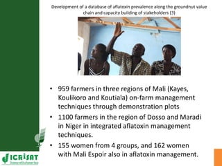 Agriculture for Nutrition and Health (A4NH) - Aflatoxin - ICRISAT activities