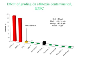 Agriculture for Nutrition and Health (A4NH) - Aflatoxin - ICRISAT activities