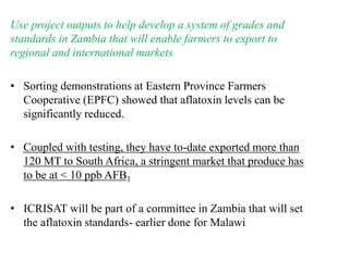 Agriculture for Nutrition and Health (A4NH) - Aflatoxin - ICRISAT activities