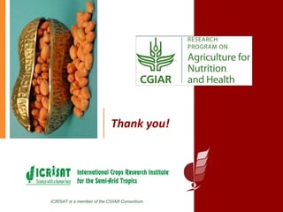 Agriculture for Nutrition and Health (A4NH) - Aflatoxin - ICRISAT activities