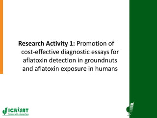 Agriculture for Nutrition and Health (A4NH) - Aflatoxin - ICRISAT activities