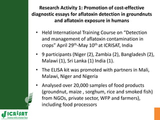 Agriculture for Nutrition and Health (A4NH) - Aflatoxin - ICRISAT activities