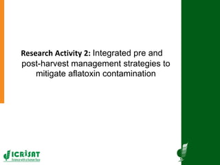 Agriculture for Nutrition and Health (A4NH) - Aflatoxin - ICRISAT activities