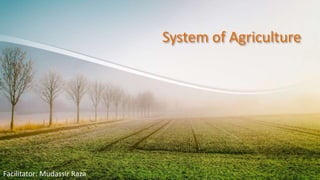 System of Agriculture
Facilitator: Mudassir Raza
 