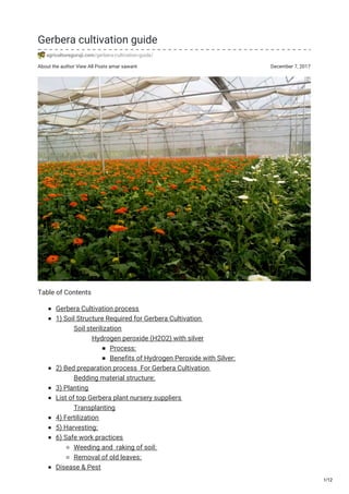 About the author View All Posts amar sawant December 7, 2017
Gerbera cultivation guide
agricultureguruji.com/gerbera-cultivation-guide/
Table of Contents
Gerbera Cultivation process
1) Soil Structure Required for Gerbera Cultivation
Soil sterilization
Hydrogen peroxide (H2O2) with silver
Process:
Benefits of Hydrogen Peroxide with Silver:
2) Bed preparation process For Gerbera Cultivation
Bedding material structure:
3) Planting
List of top Gerbera plant nursery suppliers
Transplanting
4) Fertilization
5) Harvesting:
6) Safe work practices
Weeding and raking of soil:
Removal of old leaves:
Disease & Pest
1/12
 