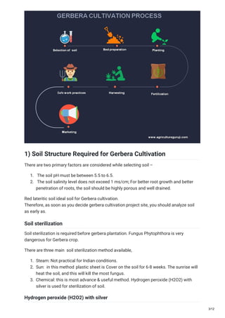 1) Soil Structure Required for Gerbera Cultivation
There are two primary factors are considered while selecting soil –
1. The soil pH must be between 5.5 to 6.5.
2. The soil salinity level does not exceed 1 ms/cm; For better root growth and better
penetration of roots, the soil should be highly porous and well drained.
Red lateritic soil ideal soil for Gerbera cultivation.
Therefore, as soon as you decide gerbera cultivation project site, you should analyze soil
as early as.
Soil sterilization
Soil sterilization is required before gerbera plantation. Fungus Phytophthora is very
dangerous for Gerbera crop.
There are three main soil sterilization method available,
1. Steam: Not practical for Indian conditions.
2. Sun: in this method plastic sheet is Cover on the soil for 6-8 weeks. The sunrise will
heat the soil, and this will kill the most fungus.
3. Chemical: this is most advance & useful method. Hydrogen peroxide (H2O2) with
silver is used for sterilization of soil.
Hydrogen peroxide (H2O2) with silver
3/12
 