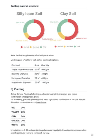Bedding material structure:
Basal fertilizer supplements (after bed preparation):
Mix the upper 6 “soil layer well, before planting the plants.
Chemical Area Quantity
Single Super Phosphate 20m 5000gm
Biozyme Granules 20m 400gm
Humiguard Granules 20m 400gm
Magnesium Sulphate 20m 1000gm
3) Planting
Before Gerbera Planting Selecting good gerbera variety is important also colour
combination affect gerbera profit.
For marketing, purpose gerbera grower has a right colour combination in the box. We use
this colour combination in our Greenhouse.
RED 20%
YELLOW 20%
PINK 20%
ORANGE 20%
WHITE 20%
In India there is 5- 10 gerbera plant supplier nursery available, Expert gerbera grower select
an only particular variety to form each nursery.
2
2
2
2
5/12
 