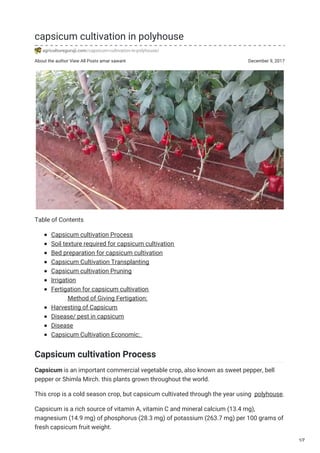 About the author View All Posts amar sawant December 9, 2017
capsicum cultivation in polyhouse
agricultureguruji.com/capsicum-cultivation-in-polyhouse/
Table of Contents
Capsicum cultivation Process
Soil texture required for capsicum cultivation
Bed preparation for capsicum cultivation
Capsicum Cultivation Transplanting
Capsicum cultivation Pruning
Irrigation
Fertigation for capsicum cultivation
Method of Giving Fertigation:
Harvesting of Capsicum
Disease/ pest in capsicum
Disease
Capsicum Cultivation Economic:
Capsicum cultivation Process
Capsicum is an important commercial vegetable crop, also known as sweet pepper, bell
pepper or Shimla Mirch. this plants grown throughout the world.
This crop is a cold season crop, but capsicum cultivated through the year using polyhouse.
Capsicum is a rich source of vitamin A, vitamin C and mineral calcium (13.4 mg),
magnesium (14.9 mg) of phosphorus (28.3 mg) of potassium (263.7 mg) per 100 grams of
fresh capsicum fruit weight.
1/7
 