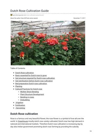 About the author View All Posts amar sawant December 11, 2017
Dutch Rose Cultivation Guide
agricultureguruji.com/rose-cultivation-greenhouse/
Table of Contents
Dutch Rose cultivation
Basic essential for Dutch rose to grow
Soil structure required for Dutch rose cultivation
Soil sterilization before Dutch rose cultivation
Bed preparation Dutch rose cultivation
Planting
Cultural Practices for Dutch rose
Mother Shoot Bending
Plant Structure Development
Bending in roses
Disbudding
Irrigation
Fertilization
Harvesting:
Dutch Rose cultivation
Rose is a famous and very beautiful flower; the rose flower is a symbol of love all over the
world. In Greenhouse mostly dutch rose variety cultivated, Dutch rose has high demand in
national and international markets. Therefore Dutch rose cultivation is increasing day by
day also Indian government promoting dutch rose farming by providing the subsidy.
1/9
 