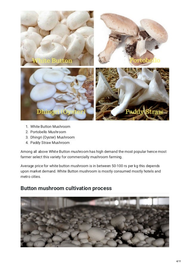 Mushroom cultivation guide 2018