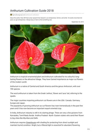 About the author View All Posts amar sawant Amar Sawant is an entrepreneur, farmer, and writer. He works more than ten
years as agri-entrepreneur. Always busy in farm to find something new.
September 24, 2018
Anthurium Cultivation Guide 2018
agricultureguruji.com/anthurium-cultivation/
Anthurium is tropical ornamental plant and Anthurium cultivated for its colourful, long-
lasting flowers or the attractive foliage. They have Gained importance as major cut flowers
of the modern world.
Anthurium is a native of Central and South America and the genus Anthurium, with over
700 species.
The word anthurium is taken from the Greek ‘anthos’, flower and ‘aura’ tail, referring to the
spadix.
The major countries importing anthurium cut flowers are in the USA. Canada. Germany.
Europe and Japan.
The popularity of growing anthurium as cut flowers has risen tremendously in the past few
years and it has now become an important export-oriented crop.
In India, Anthurium industry is still in its starting phage. There are very a few growers from
Karnataka, Tamil Nadu Kerala Andhra Pradesh North -Eastern states who send their flower
to big cities like Mumbai and Delhi.
Anthurium requires Greenhouse with shading for protecting from direct sunlight and
maintain humid condition. Bright, but a filtered light is essential for abundant flowering.
1/10
 