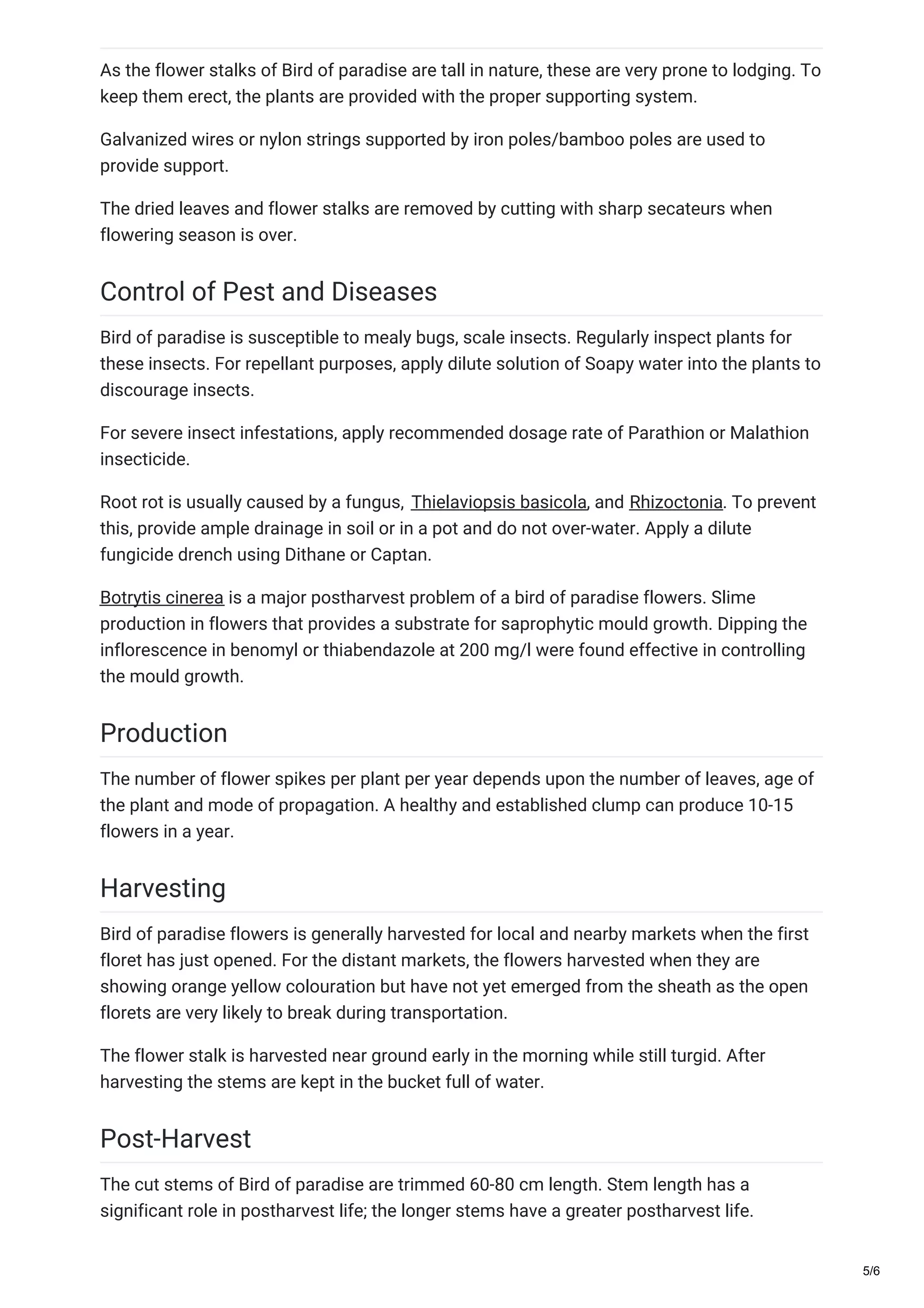 Bird of paradise cultivation guide 2018 | PDF