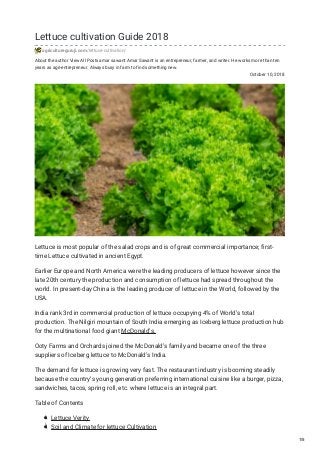 About the author View All Posts amar sawant Amar Sawant is an entrepreneur, farmer, and writer. He works more than ten
years as agri-entrepreneur. Always busy in farm to find something new.
October 10, 2018
Lettuce cultivation Guide 2018
agricultureguruji.com/lettuce-cultivation/
Lettuce is most popular of the salad crops and is of great commercial importance; first-
time Lettuce cultivated in ancient Egypt.
Earlier Europe and North America were the leading producers of lettuce however since the
late 20th century the production and consumption of lettuce had spread throughout the
world. In present-day China is the leading producer of lettuce in the World, followed by the
USA.
India rank 3rd in commercial production of lettuce occupying 4% of World’s total
production. The Nilgiri mountain of South India emerging as Iceberg lettuce production hub
for the multinational food giant McDonald’s.
Ooty Farms and Orchards joined the McDonald’s family and became one of the three
suppliers of Iceberg lettuce to McDonald’s India.
The demand for lettuce is growing very fast. The restaurant industry is booming steadily
because the country’s young generation preferring international cuisine like a burger, pizza,
sandwiches, tacos, spring roll, etc. where lettuce is an integral part.
Table of Contents
Lettuce Verity
Soil and Climate for lettuce Cultivation
1/5
 