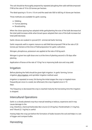 The soil should be thoroughly prepared by repeated ploughing then add well-decomposed
FYM at the rate of 10 to 20 tonnes per hectare.
The ideal spacing is 15 cm x 10 cm and the seed rate 500 to 600 kg of cloves per hectare.
Three methods are available for garlic sowing.
Dibbling
Furrow planting
Broadcasting.
When the close spacing has adopted while garlicplanting the size of the bulb decrease but
the total yield increase while when broad space adopted then size of the bulb increase but
total yield decrease.
Garlic cloves are soaked in cycocel (CC ommercial Garlic farming
Garlic responds well to organic manure so add Well decomposed FYM at the rate of 20
tonnes per hectare at the time of field preparation for garlic cultivation.
Nitrogen, phosphorus, potassium are applied at the rate of 60 kg each.
Nitrogen is given two split dose one is at the time of planting second is 30 days after
planting.
Application of borax at the rate of 10 kg/ ha is improving bulb size and crop yield.
Irrigation:
Before planting the field should be given light irrigation. In garlic farming, furrow
irrigation, drip irrigation, and sprinkler irrigation method used.
Irrigation is repeated on every 3rd during the initial stages the crop is irrigated more
frequently per once in a week, but afterward, the crop irrigated once in 15
days.
The frequency is decreased the crop is reached maturity the harvesting time the irrigation
is stopped.
Intercultural Operations
Garlic is a closely planted crop thus manual weeding is tedious, expensive and it may
cause damage to the
crop, therefore, chemical herbicides like Linuron (2.25 kg/ha), Pendimethalin (1.5 kg/ha),
and Tribunil (2.1 kg/ha) is useful.
Hoeing helps the crop just before the formation of bulbs loosens the soil and helps in a set
of bigger and compact bulbs.
Harvesting
4/5
 