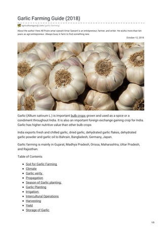 About the author View All Posts amar sawant Amar Sawant is an entrepreneur, farmer, and writer. He works more than ten
years as agri-entrepreneur. Always busy in farm to find something new.
October 12, 2018
Garlic Farming Guide (2018)
agricultureguruji.com/garlic-farming/
Garlic (Allium sativum L.) is important bulb crops grown and used as a spice or a
condiment throughout India. It is also an important foreign exchange gaining crop for India.
Garlic has higher nutritive value than other bulb crops
India exports fresh and chilled garlic, dried garlic, dehydrated garlic flakes, dehydrated
garlic powder and garlic oil to Bahrain, Bangladesh, Germany, Japan.
Garlic farming is mainly in Gujarat, Madhya Pradesh, Orissa, Maharashtra, Uttar Pradesh,
and Rajasthan.
Table of Contents
Soil for Garlic Farming
Climate
Garlic verity
Propagation
Season of Garlic planting:
Garlic Planting
Irrigation:
Intercultural Operations
Harvesting
Yield
Storage of Garlic
1/5
 
