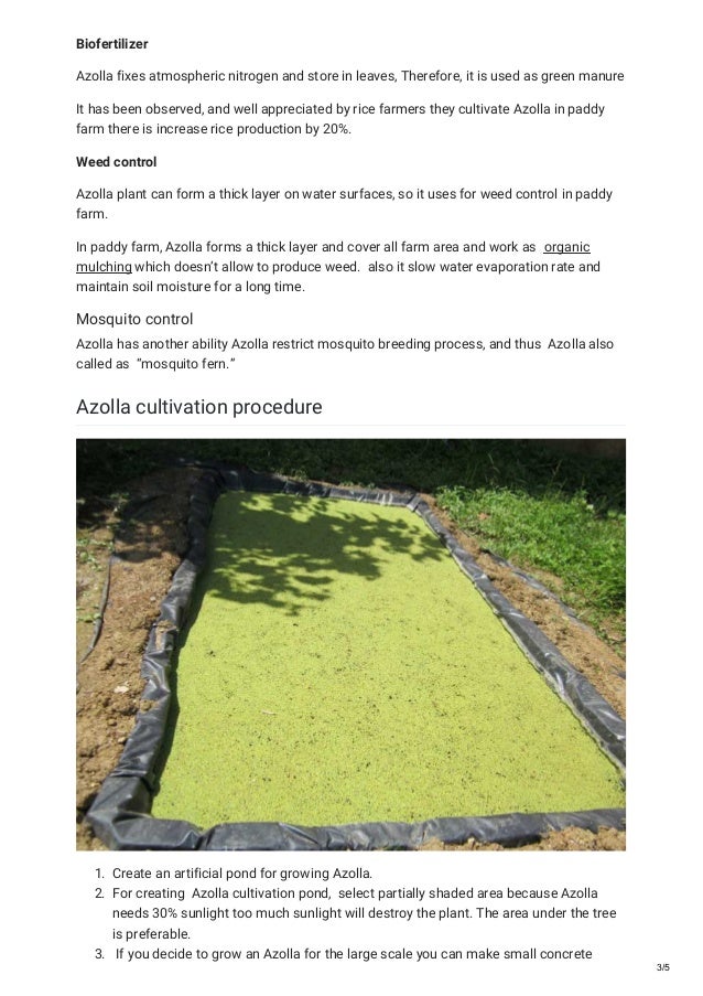 Azolla cultivation guide ( Rich proteins feed for cattle poultry fish…