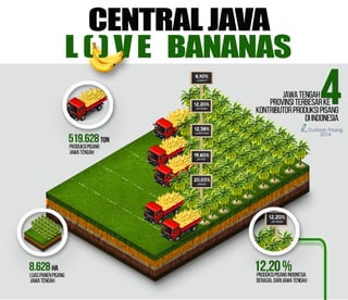 Census Agriculture Infographic