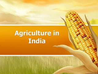 Agriculture in India 