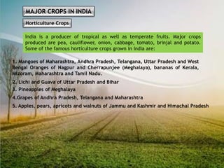 MAJOR CROPS IN INDIA
Non-Food Crops
Rubber Fibre Cotton Jute
It is an equatorial crop. Cotton, Jute, Hemp and
Natural Silk...