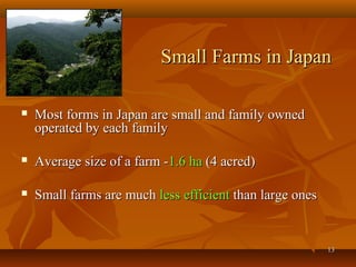 1313
Small Farms in JapanSmall Farms in Japan
 Most forms in Japan are small and family ownedMost forms in Japan are small and family owned
operated by each familyoperated by each family
 Average size of a farm -Average size of a farm -1.6 ha1.6 ha (4 acred)(4 acred)
 Small farms are muchSmall farms are much less efficientless efficient than large onesthan large ones
 