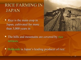 3131
RICE FARMING INRICE FARMING IN
JAPANJAPAN
 Rice is the main crop inRice is the main crop in
Japan, cultivated for moreJapan, cultivated for more
than 3,000 years inthan 3,000 years in
 The hills and mountains are covered byThe hills and mountains are covered by ricerice
terraces.terraces.
 HokkaidoHokkaido is Japan’s leading producer of rice.is Japan’s leading producer of rice.
 