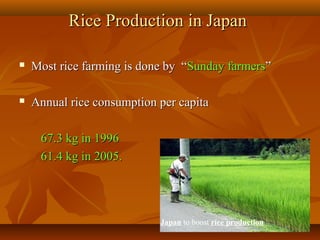 3434
Rice Production in JapanRice Production in Japan
 Most rice farming is done by “Most rice farming is done by “Sunday farmersSunday farmers””
 Annual rice consumption per capitaAnnual rice consumption per capita
67.3 kg in 199667.3 kg in 1996
61.4 kg in 2005.61.4 kg in 2005.
Japan to boost rice production
 