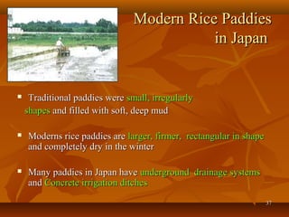 3737
Modern Rice PaddiesModern Rice Paddies
in Japanin Japan
 Traditional paddies wereTraditional paddies were small, irregularlysmall, irregularly
shapesshapes and filled with soft, deep mudand filled with soft, deep mud
 Moderns rice paddies areModerns rice paddies are larger, firmer, rectangular in shapelarger, firmer, rectangular in shape
and completely dry in the winterand completely dry in the winter
 Many paddies in Japan haveMany paddies in Japan have underground drainage systemsunderground drainage systems
andand Concrete irrigation ditchesConcrete irrigation ditches
 
