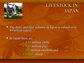 4242
LIVESTOCK INLIVESTOCK IN
JAPANJAPAN
 The dairy and beef industry in Japan is valued overThe dairy and beef industry in Japan is valued over
49 billion rupees.49 billion rupees.
 In Japan there areIn Japan there are
-- 4.564.56 million cattle,million cattle,
-- 9.619.61 million pigs,million pigs,
-- 294294 million chickens andmillion chickens and
-- 11,00011,000 sheepsheep
 