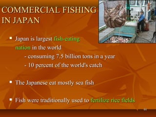4444
COMMERCIAL FISHINGCOMMERCIAL FISHING
IN JAPANIN JAPAN
 Japan is largestJapan is largest fish-eatingfish-eating
nationnation in the worldin the world
- consuming 7.5 billion tons in a year- consuming 7.5 billion tons in a year
- 10 percent of the world's catch- 10 percent of the world's catch
 The Japanese eat mostly sea fishThe Japanese eat mostly sea fish
 Fish were traditionally used toFish were traditionally used to fertilize rice fieldsfertilize rice fields
 