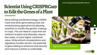 Agriculture Innovations - The Future of Farm Tech.pptx