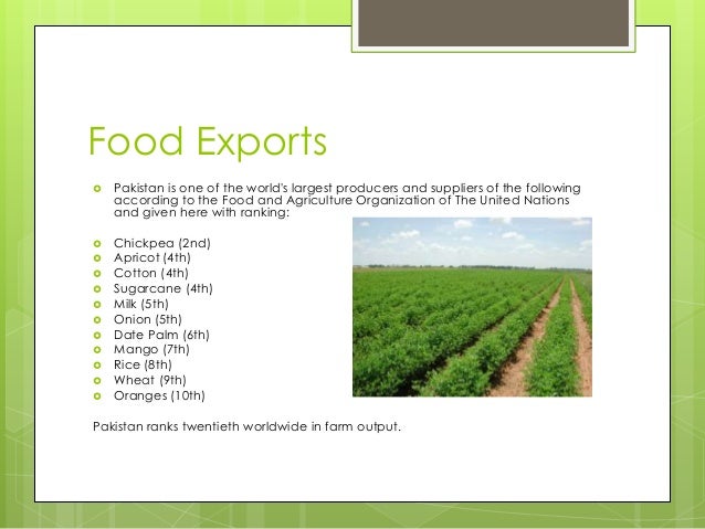 Cat Food Price In Pakistan Cat Food Price In Pakistan