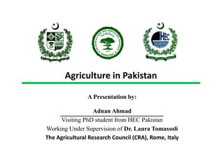 A Presentation by:
Adnan Ahmad
Visiting PhD student from HEC Pakistan
Working Under Supervision of Dr. Laura Tomassoli
The Agricultural Research Council (CRA), Rome, Italy
Agriculture in Pakistan
 