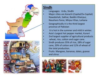 Sindh
• Languages: Urdu, Sindhi
• Major cities are Karachi (Capital/Ex-Capital)
Nawabshah, Sakhar, Baddin Khairpur,
Nausharo Faroz, Mirpur Khas, Larkana
• Geographically it is the third largest
province of Pakistan
• It is hot in the summer and mild in winter.
• Asia's Largest hot pepper market, Kuneri
• 2nd largest supplier of agricultural products
• wheat, rice, cotton and sugar cane.
• Sindh produces 35% of rice, 28% of sugar
cane, 20% of cotton and 12% of wheat of
the total production.
• Fruits. Mangoes, bananas, dates, guavas
and citrus
 