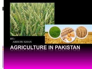 AGRICULTURE IN PAKISTAN
BY:-
ABDUHU KHAN
 