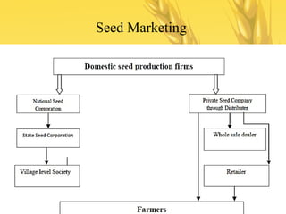 Seed Marketing
 