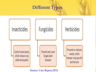 Different Types
Source: Care Report,2018
 
