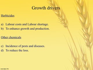 Growth drivers
Herbicides
a) Labour costs and Labour shortage.
b) To enhance growth and production.
Other chemicals
c) Incidence of pests and diseases.
d) To reduce the loss.
 