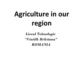 Agriculture in our
region
Liceul Tehnologic
“Vintilă Brătianu”
ROMANIA

 