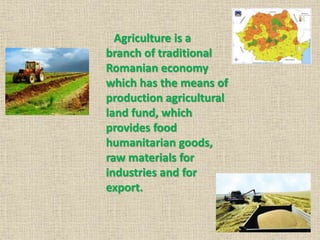 Agriculture in romania | PPTX