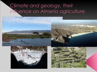 Climate and geology, their
influence on Almería agriculture.

 
