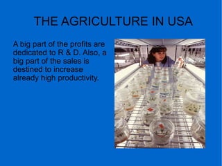 THE AGRICULTURE IN USA
A big part of the profits are
dedicated to R & D. Also, a
big part of the sales is
destined to increase
already high productivity.
 