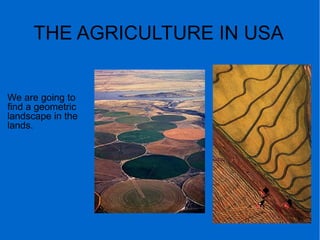 THE AGRICULTURE IN USA
We are going to
find a geometric
landscape in the
lands.
 