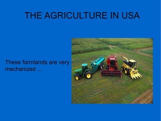 THE AGRICULTURE IN USA
These farmlands are very
mechanized ...
 