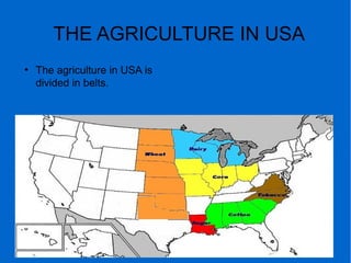 THE AGRICULTURE IN USA
●
The agriculture in USA is
divided in belts.
 