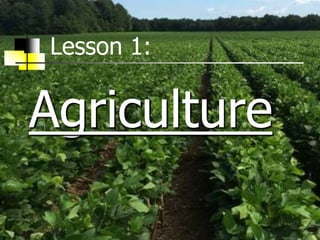 Agriculture
Lesson 1:
 