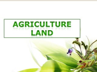 Agriculture Land
 